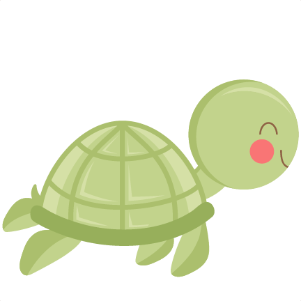 Симпатичная черепаха PNG Фотографии