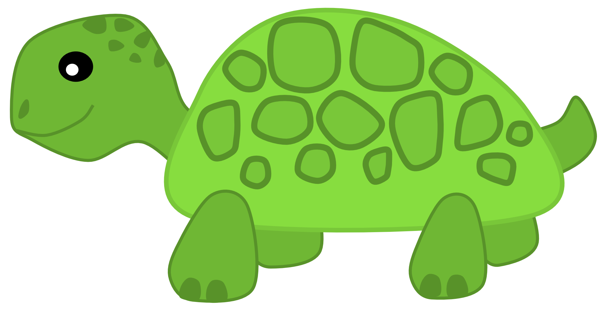 Симпатичная черепаха PNG прозрачное изображение