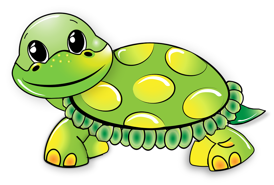 Симпатичная черепаха PNG прозрачная картина