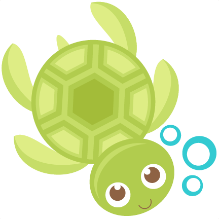 Cute Turtle PNG Transparent