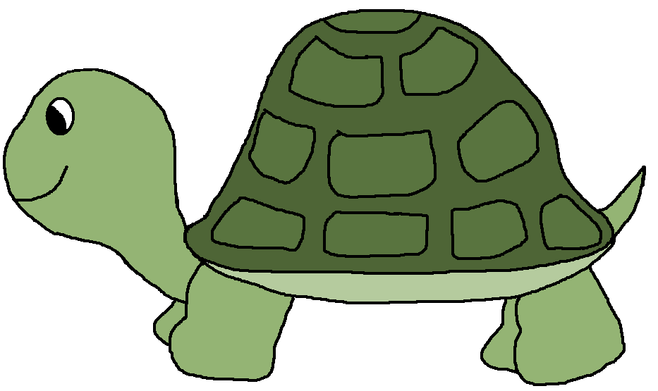 Симпатичная черепаха прозрачный PNG