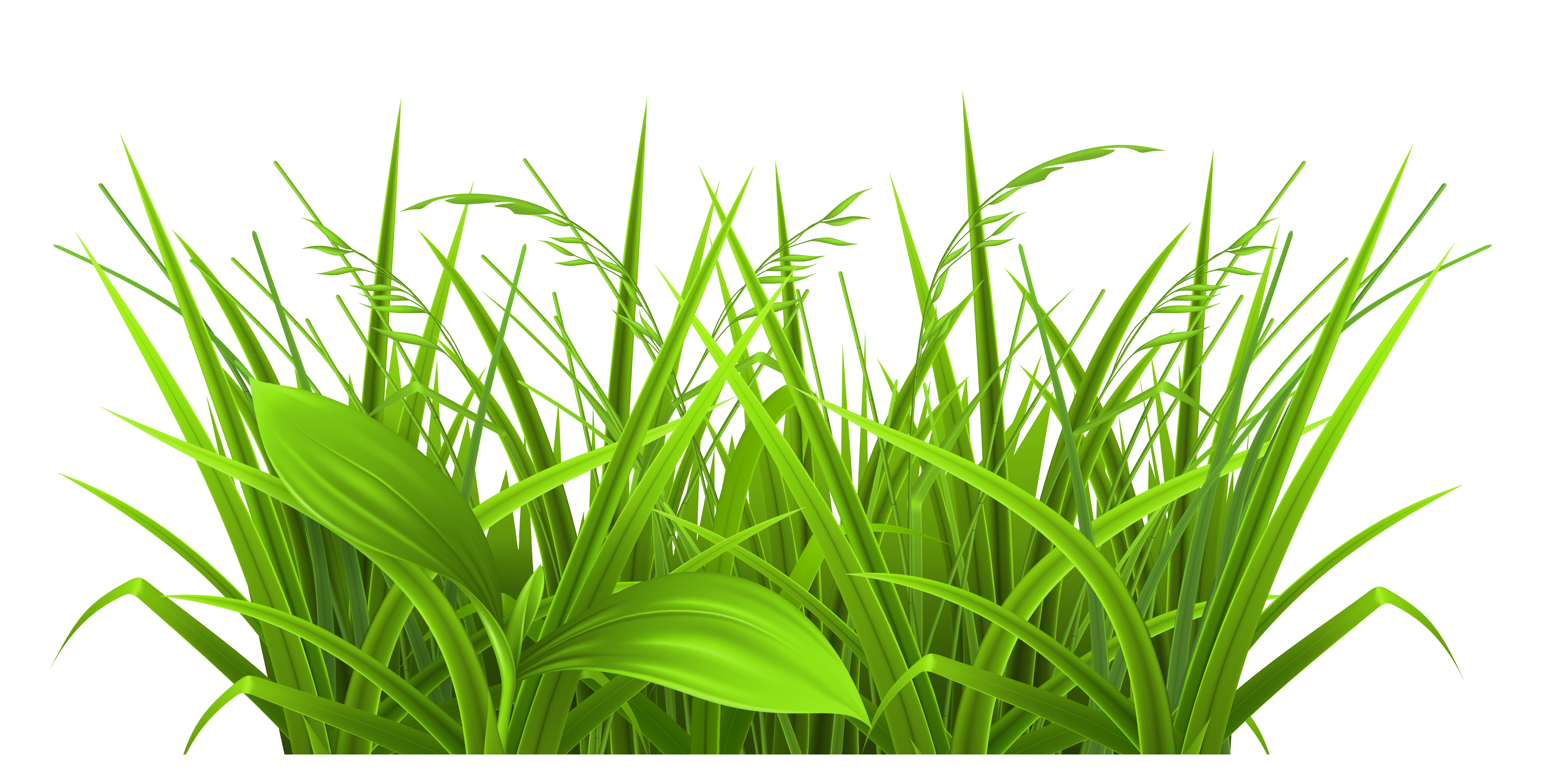 Field PNG File