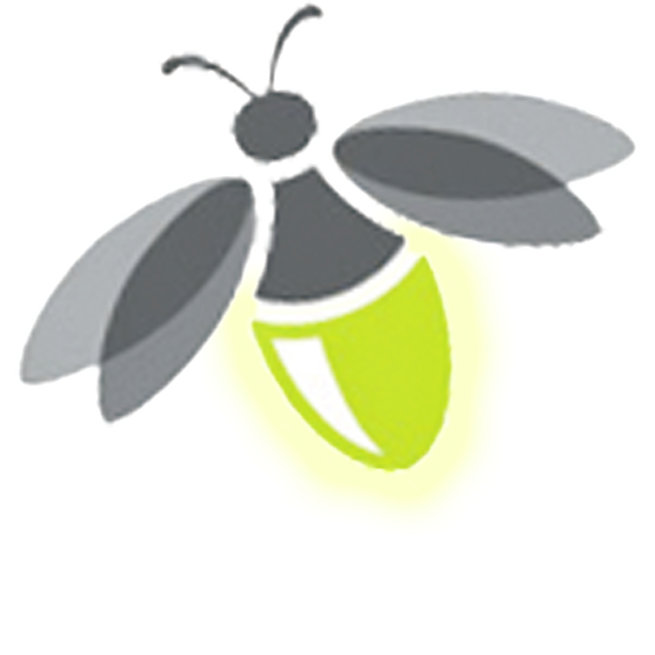 Firefly Transparent PNG
