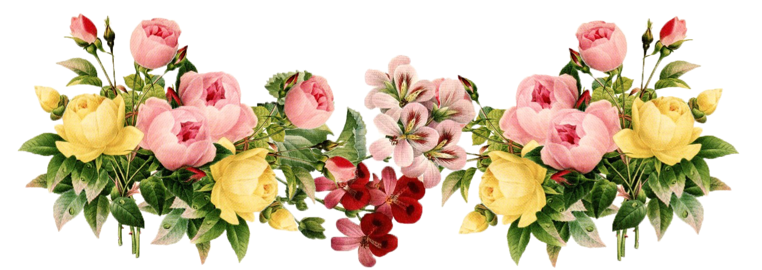 Imagem transparente de PNG floral