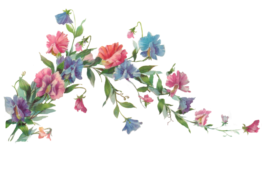 PNG transparente floral