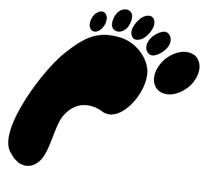 Footprints Transparent PNG