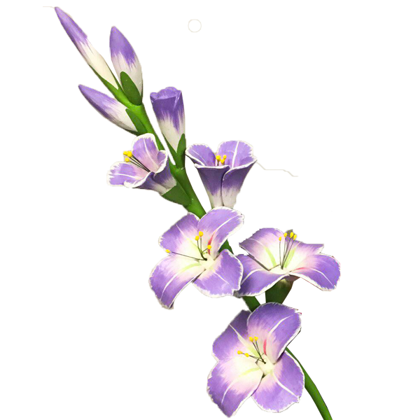 Gladiolus PNG şeffaf resim