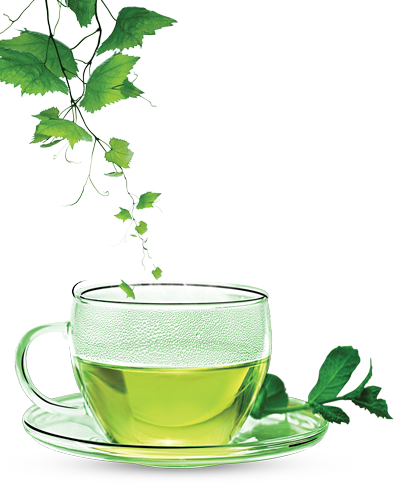 Chá verde PNG clipart