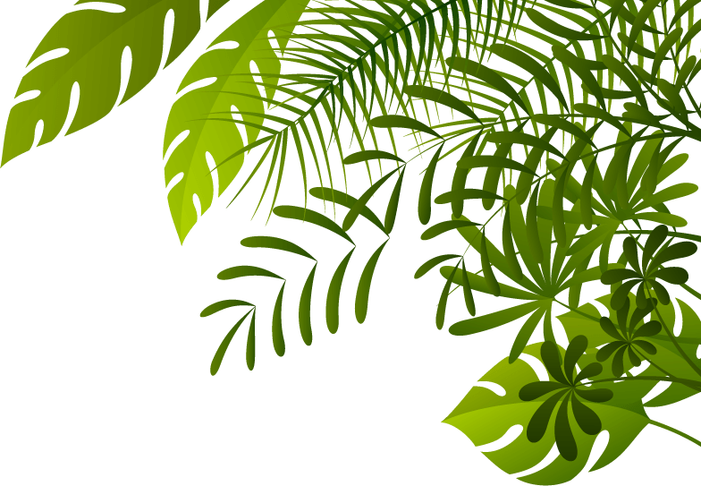 Jungle PNG Image