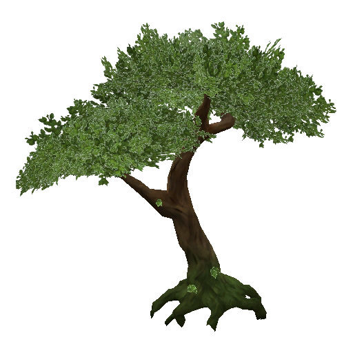 شجرة الغابة PNG شفافة