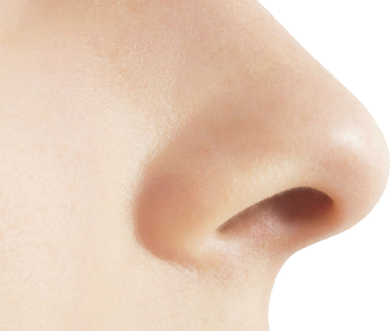 Nose PNG PIC