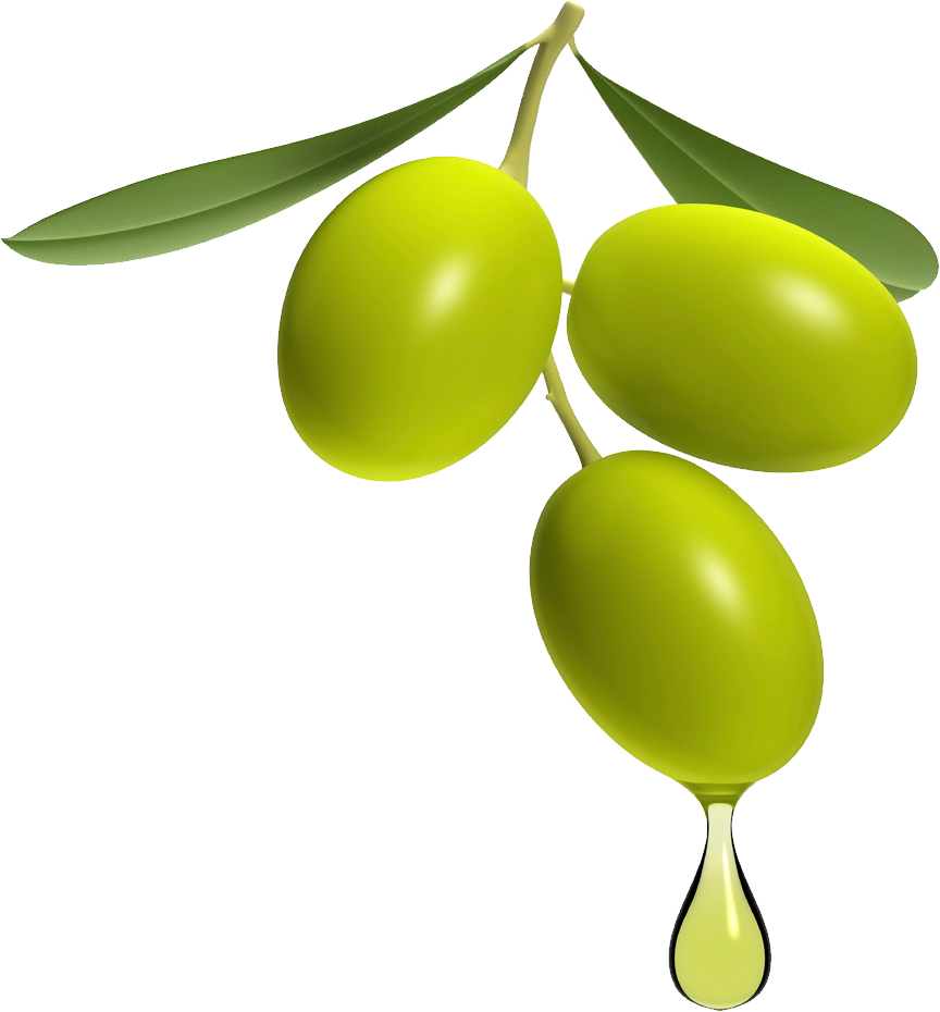 Olive PNG Image Transparente