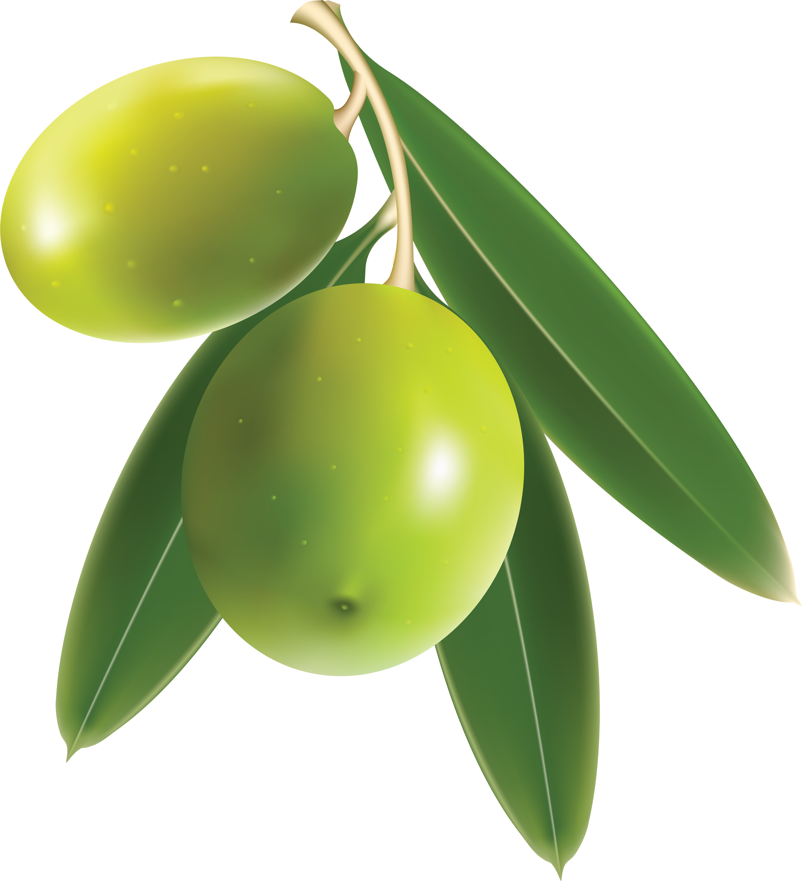 Olive Transparent PNG