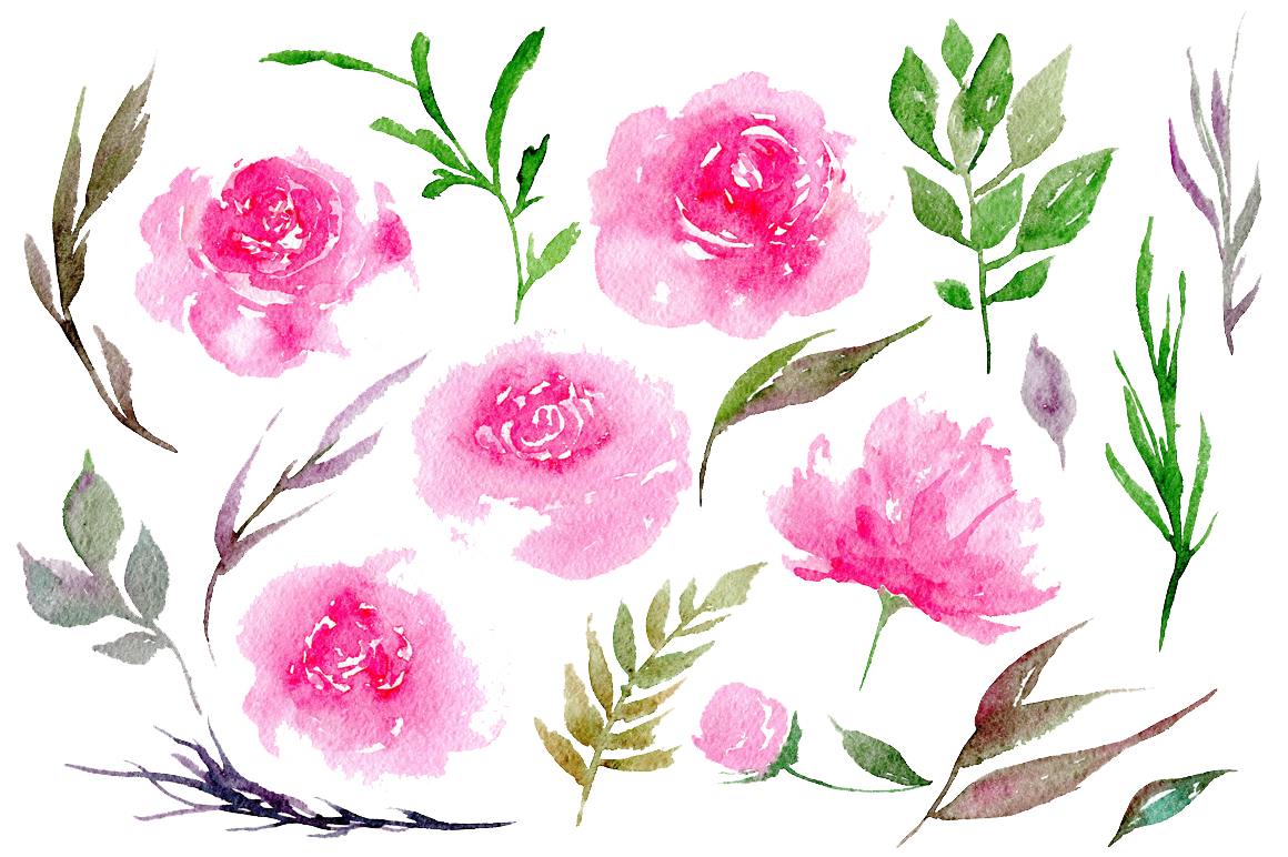 Peonies PNG Clipart