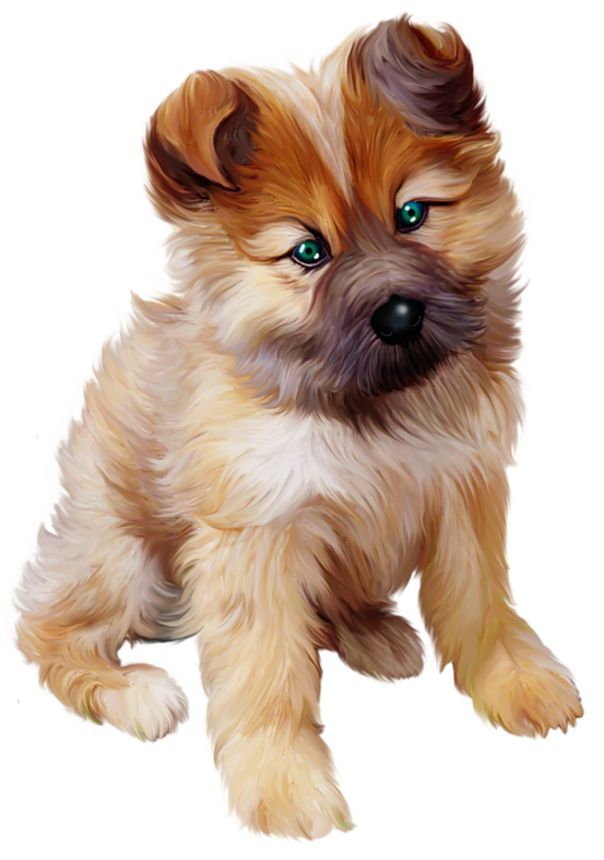 Puppy PNG фото