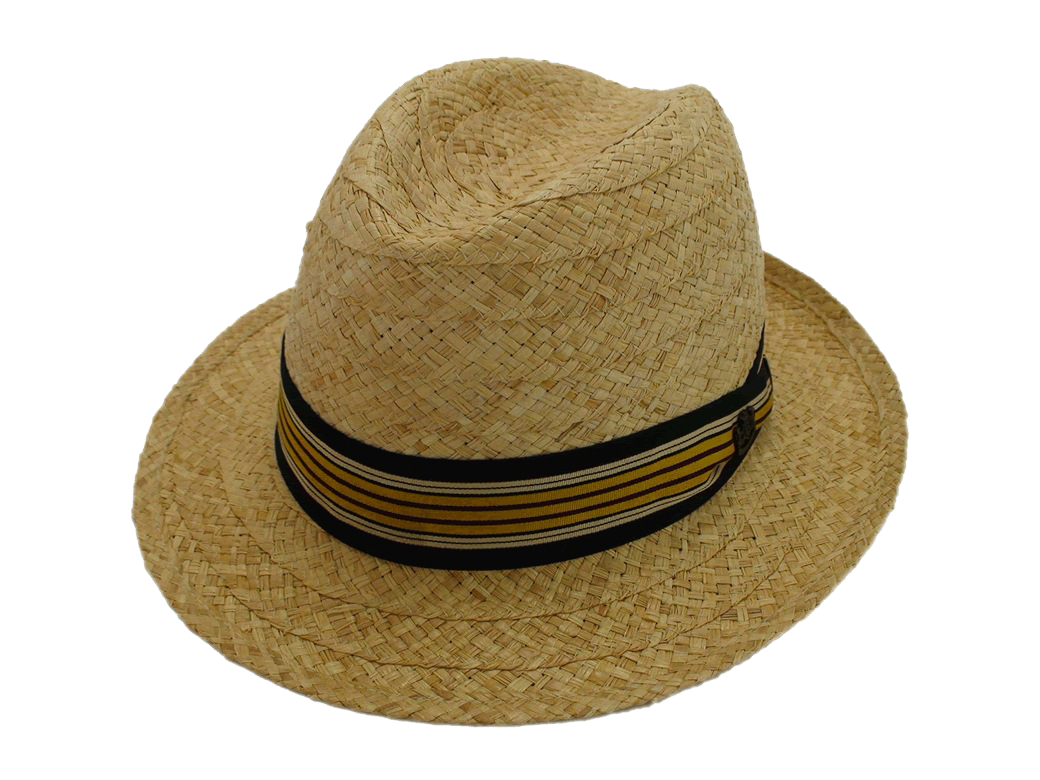 raffia قبعة PNG Clipart