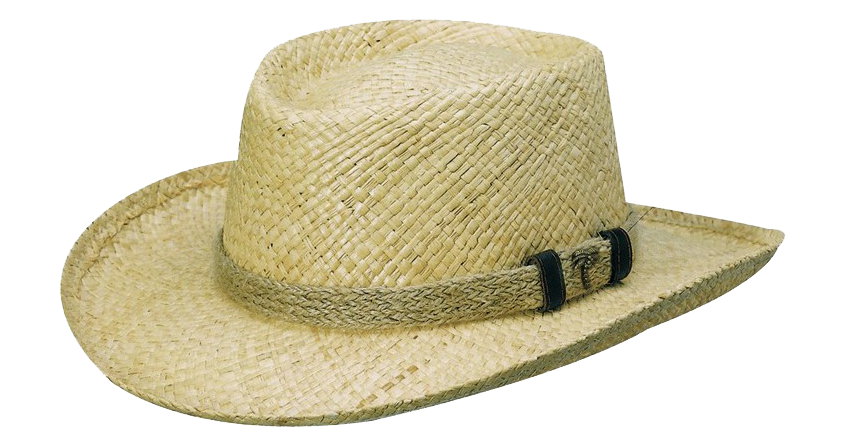 Raffia chapéu PNG pic