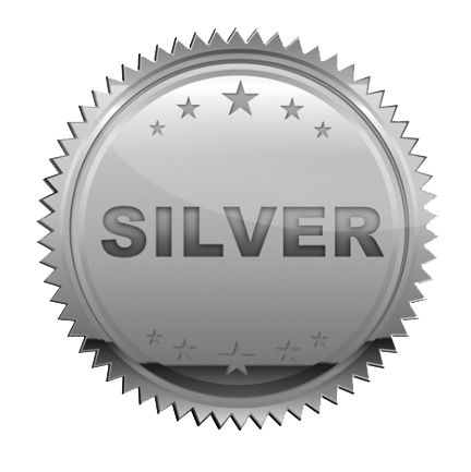 Silver Transparent PNG