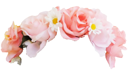 Snapchat Flower Crown PNG Photo