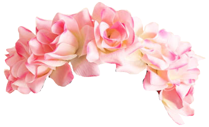 Snapchat Flower Crown PNG Pic