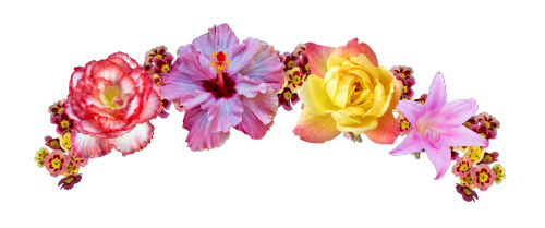 Snapchat Flower Crown PNG Picture