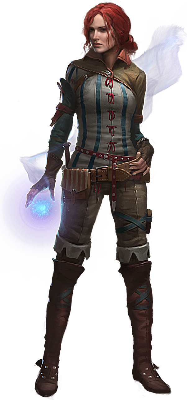 The Witcher PNG Transparent Picture