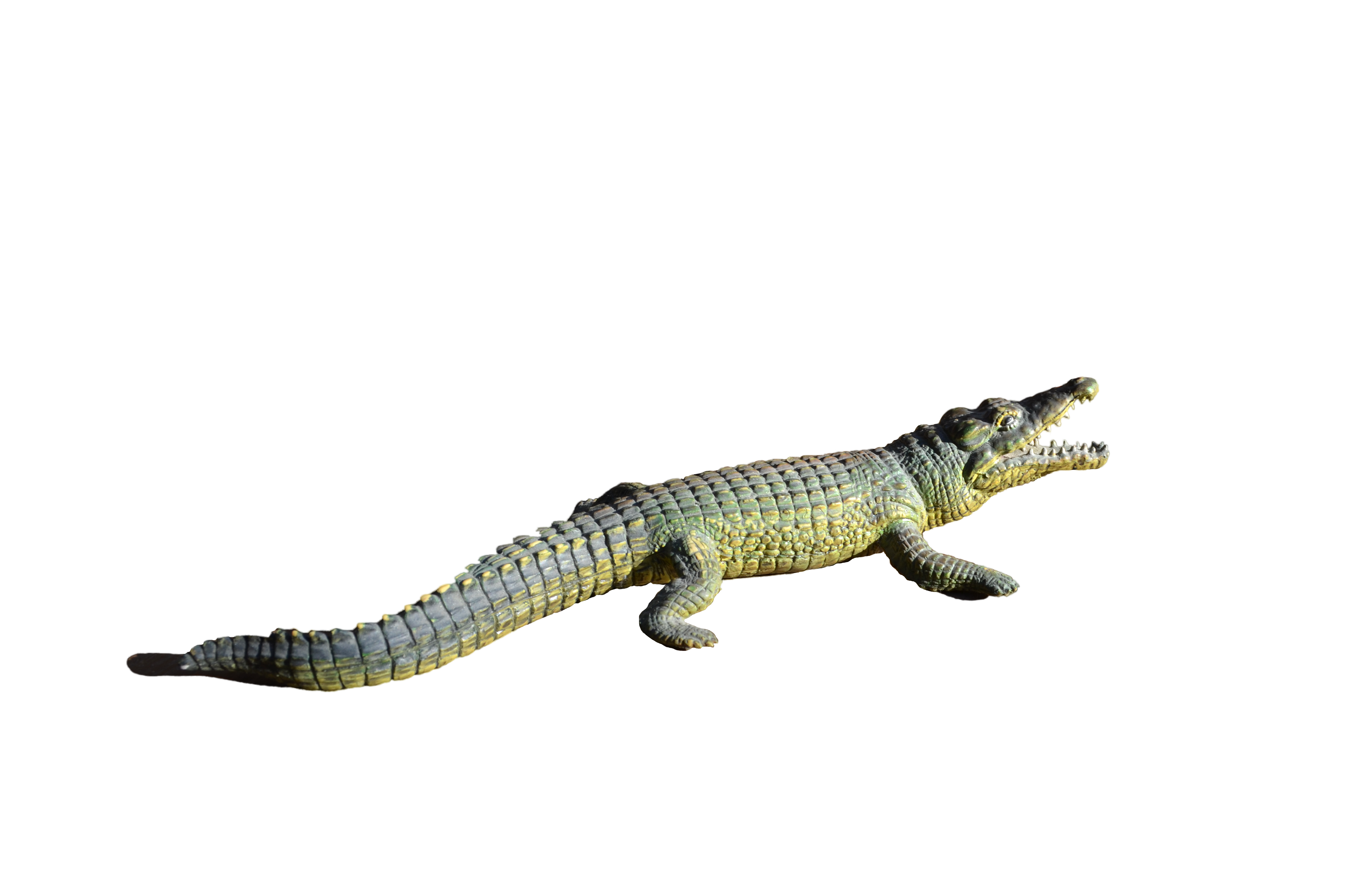 Alligator Transparent PNG
