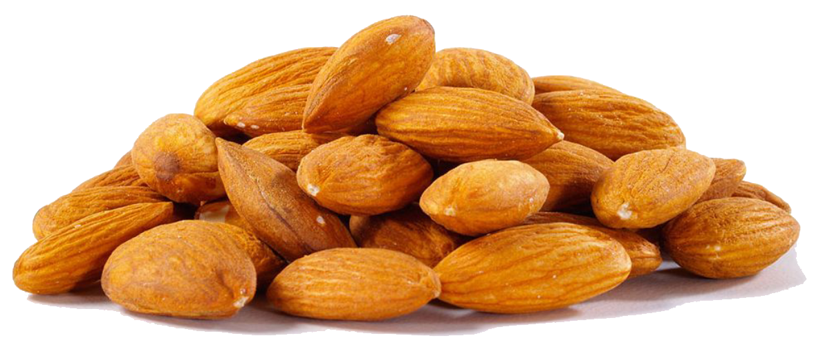 Almond PNG File