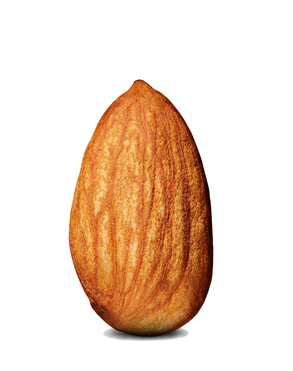 Almond PNG Photos