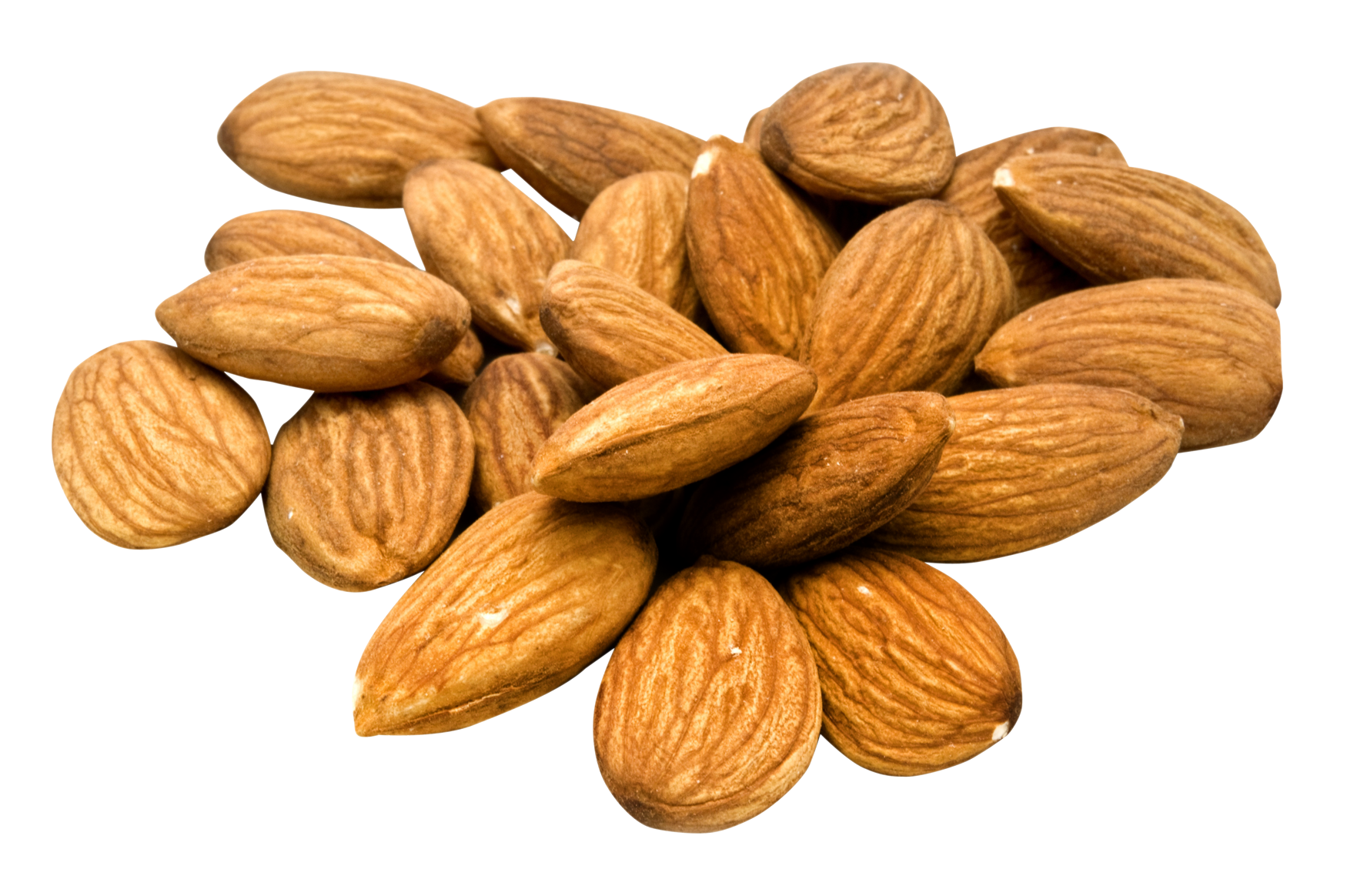 Almond PNG Pic