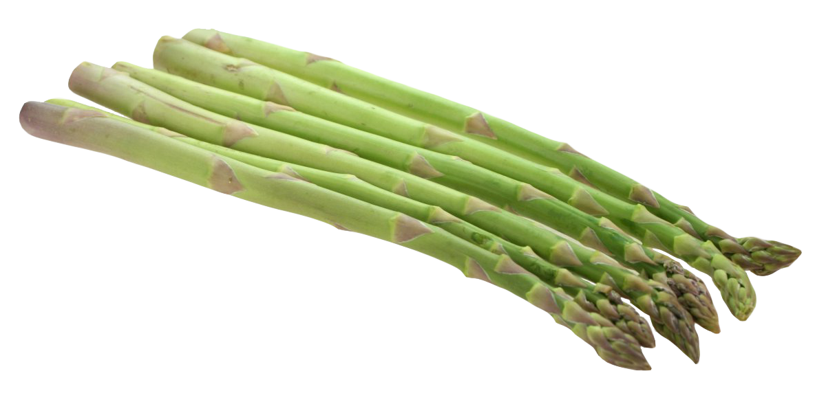 Spargel-PNG-Clipart