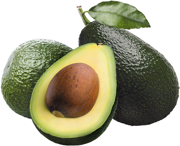 Aguacate PNG hd