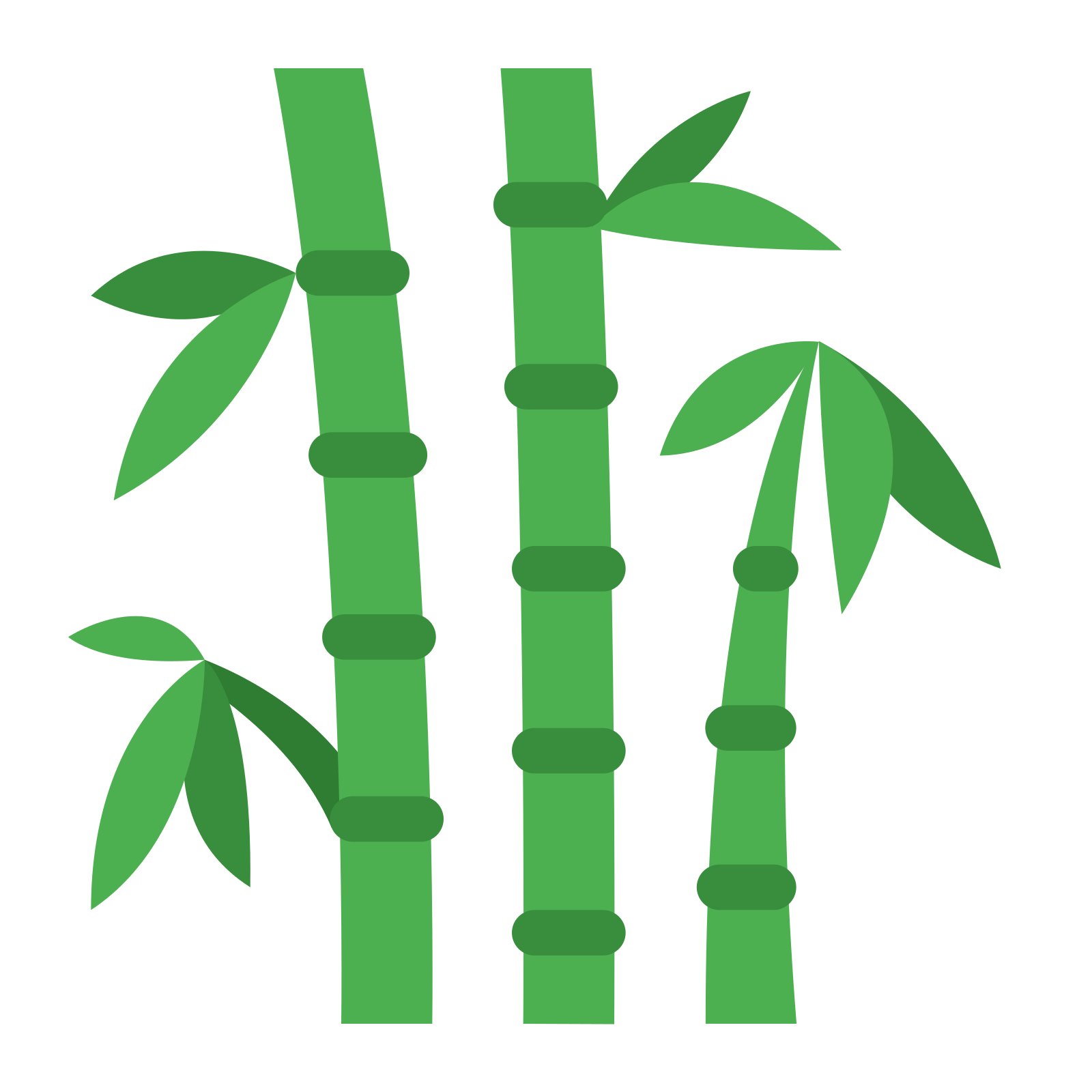 Bamboo Leaf PNG Clipart