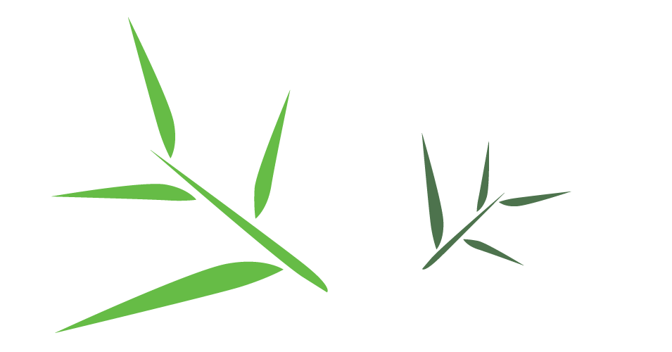 Bamboo Leaf PNG Free Download
