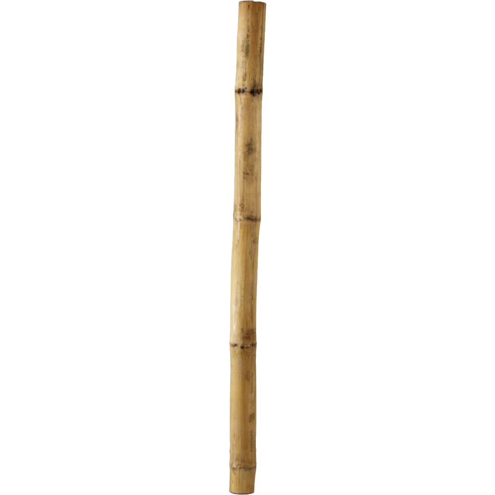 Bamboo Stick PNG Pic