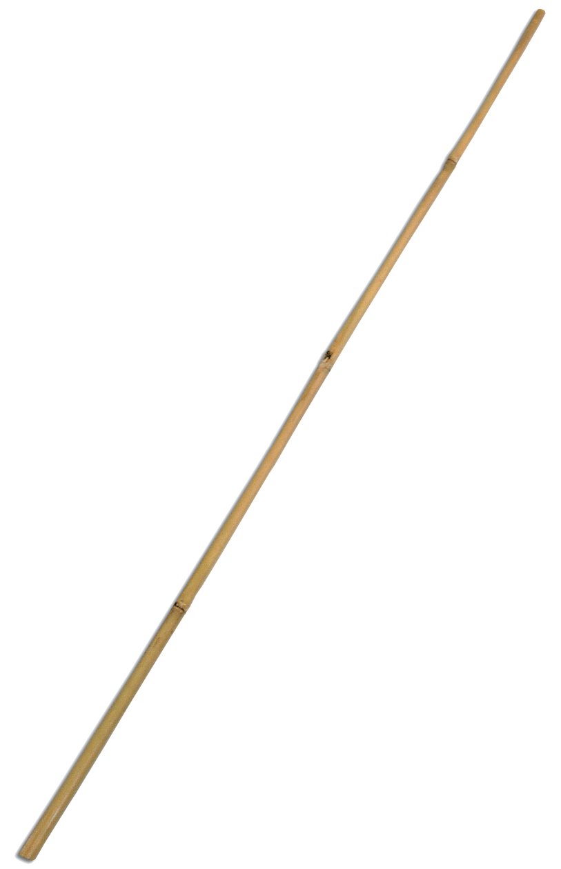 Bamboo Stick PNG Picture