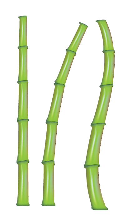 Bamboo Stick PNG Transparent