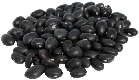 Black Beans PNG Clipart