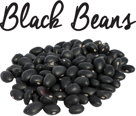 Black Beans PNG Image