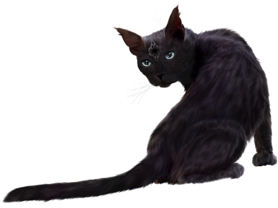 ภาพตัดปะแมวดำ PNG