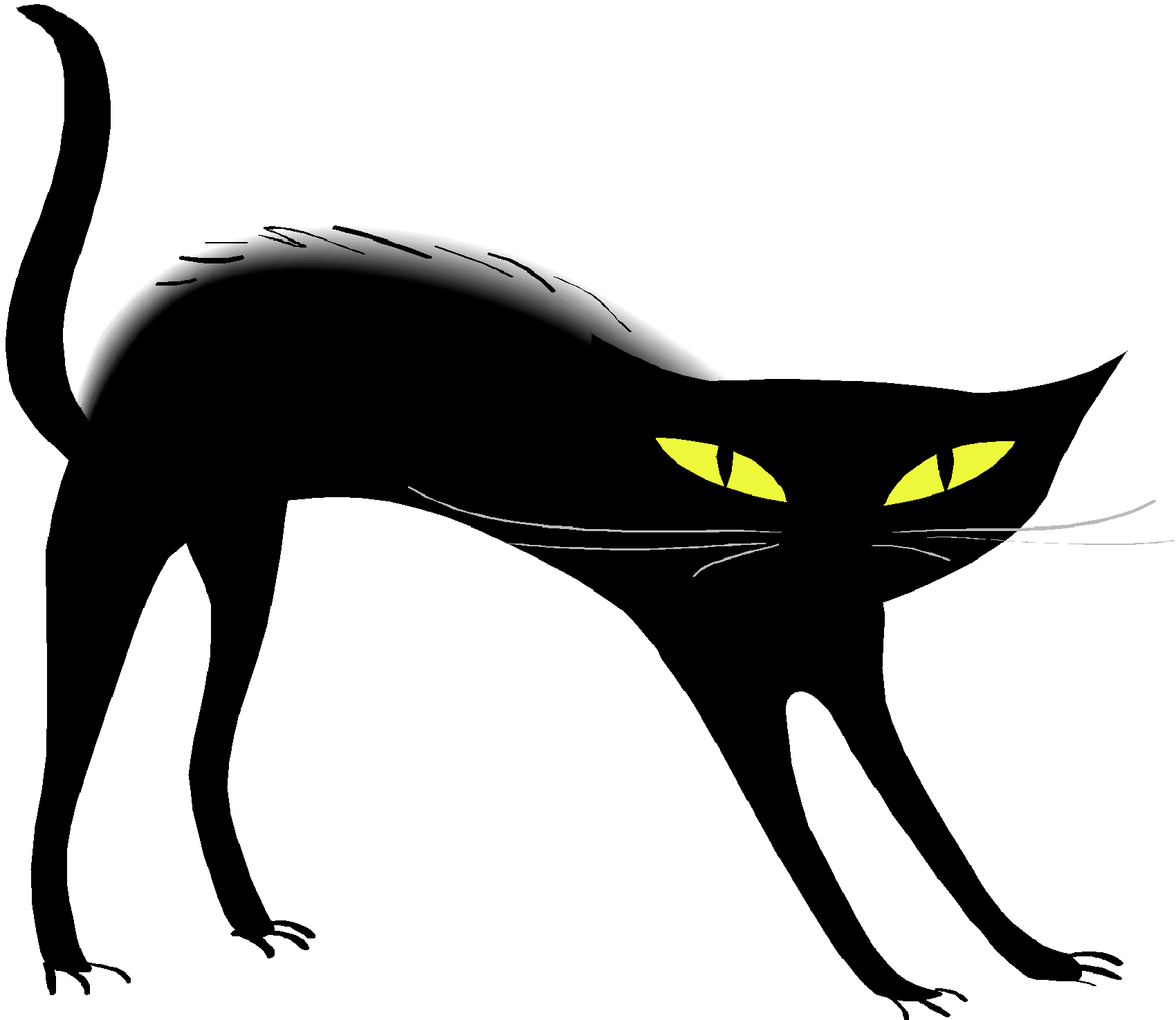 Kara kedi PNG Pic