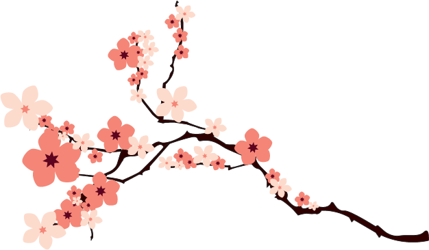 Blossom PNG Imagen