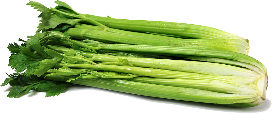 Celery PNG Clipart