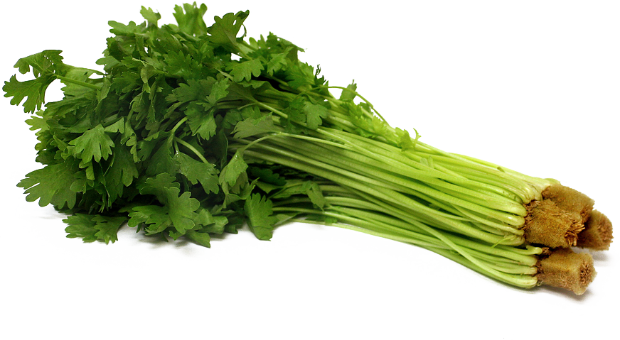 Celery PNG Pic