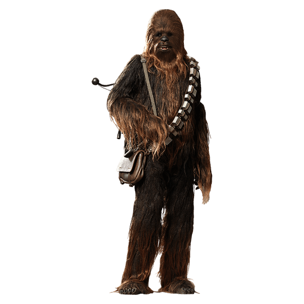 Fichier PNG Chewbacca