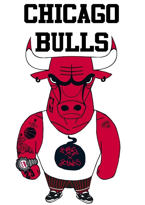 Chicago Bulls PNG File