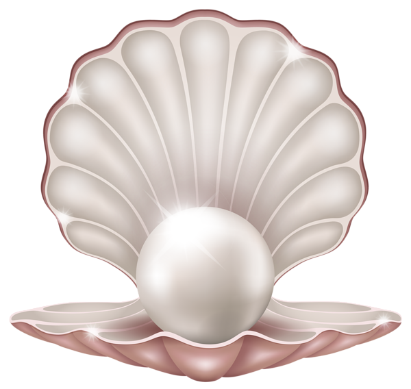 Clams PNG Image
