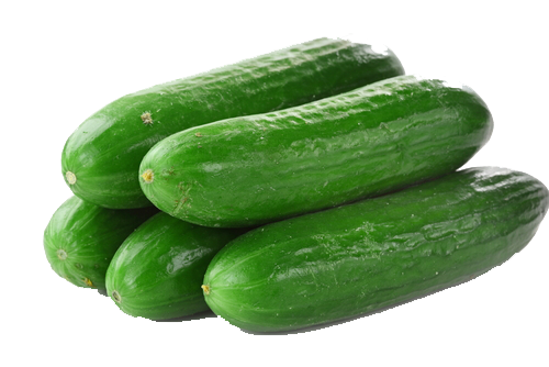 Cucumbers PNG File