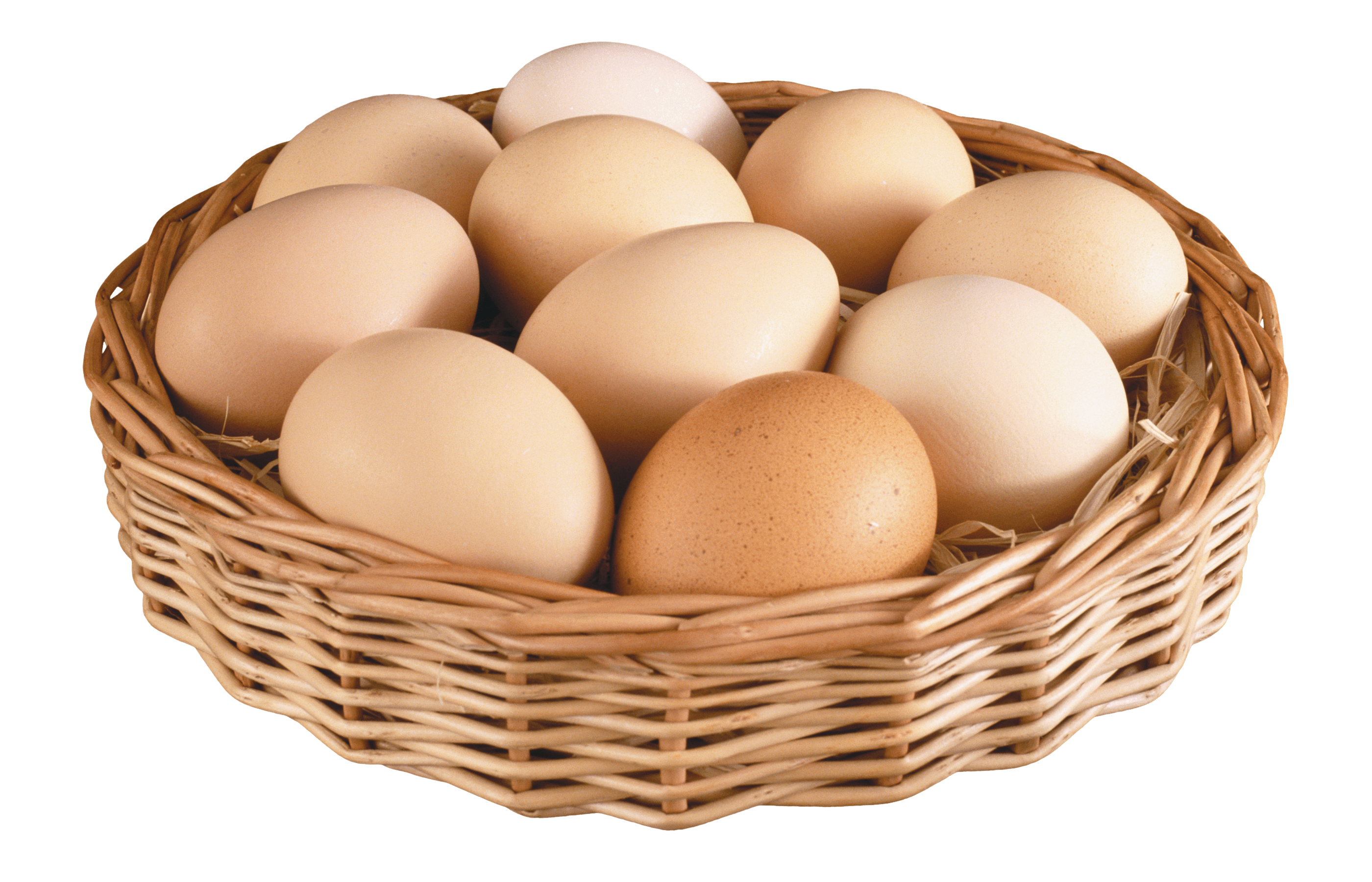 File PNG Eggs