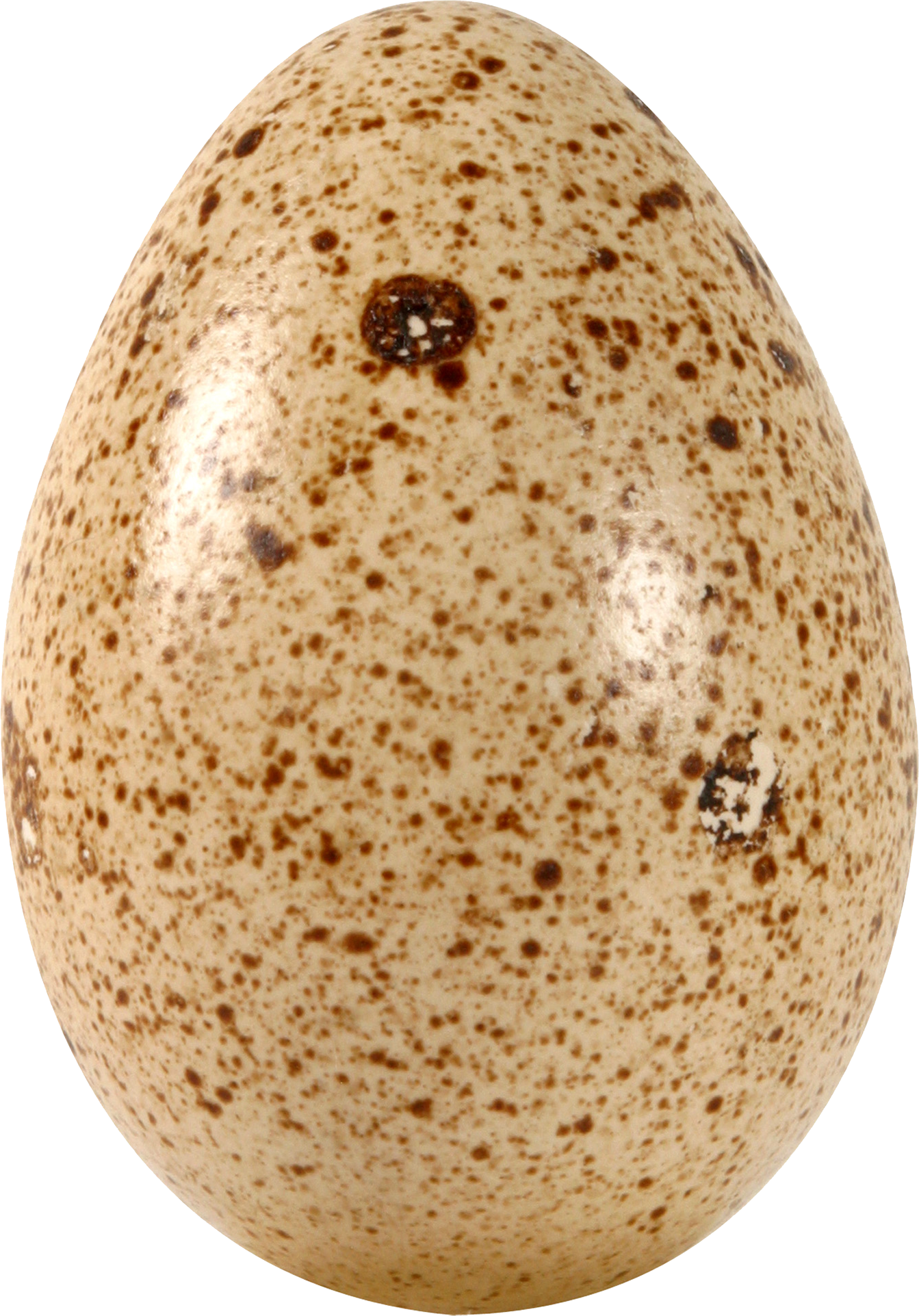 Eggs PNG Picture